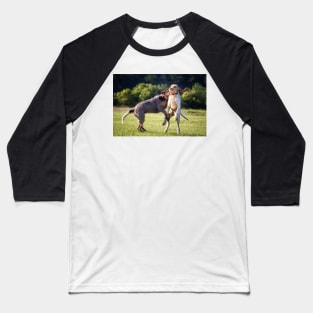 Make like a Hare Spinoni Baseball T-Shirt